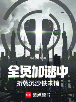 全员加速中：折戟沉沙铁未销封面