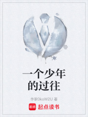 一个少年的过往在线阅读
