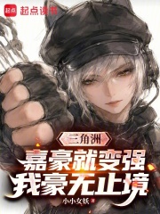三角洲：嘉豪就变强，我豪无止境在线阅读
