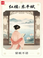 红楼：东平赋封面