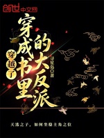 穿越了，穿成书里的大反派封面