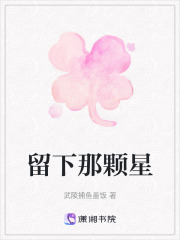 留下那颗星在线阅读