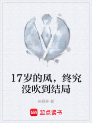 17岁的风，终究没吹到结局在线阅读