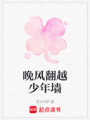 晚风翻越少年墙在线阅读