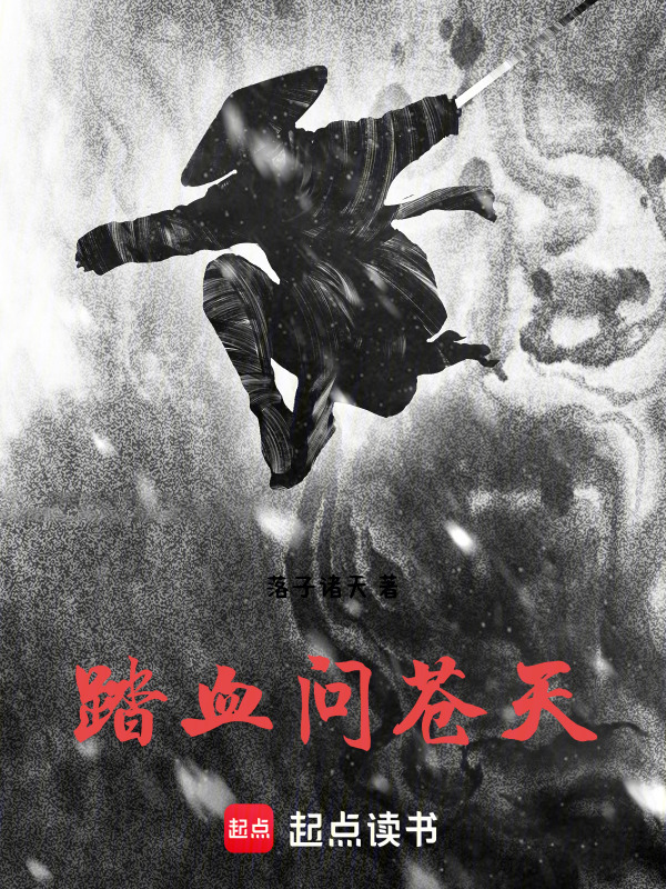 踏血问苍天封面