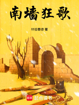 南墙狂歌 cover