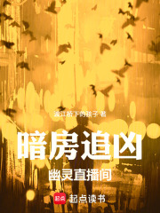 暗房追凶：幽灵直播间在线阅读