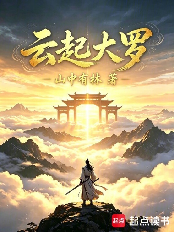 云起大罗封面