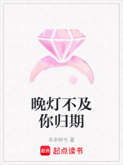 晚灯不及你归期