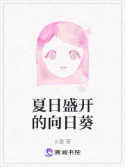 夏日盛开的向日葵在线阅读