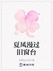 夏风漫过旧窗台在线阅读