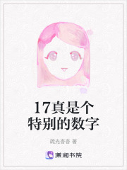 17真是个特别的数字在线阅读