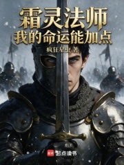 霜灵法师，我的命运能加点在线阅读