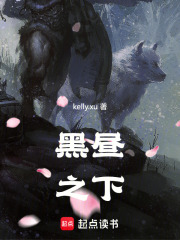 黑昼之下在线阅读