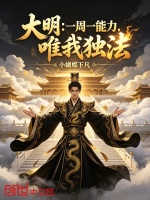 大明：一周一能力，唯我独法封面