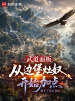 武道面板：从边堡灶奴开始加点封面