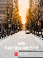 律师，从合法报复前老板开始封面