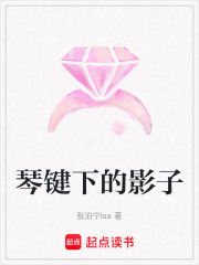 琴键下的影子在线阅读