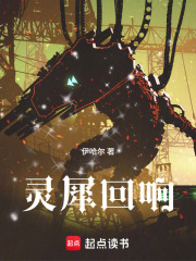 灵犀回响在线阅读