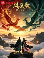 凤凰歌封面