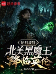 哈利波特：北美黑魔王降临英伦在线阅读