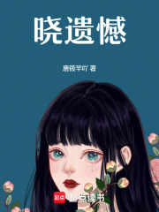 晓遗憾在线阅读