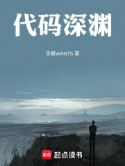 代码深渊在线阅读