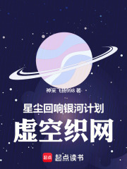 星尘回响银河计划虚空织网第二部在线阅读