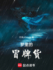 梦里的冒牌货在线阅读