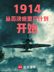 1914从否决施里芬计划开始在线阅读