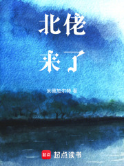 北佬来了在线阅读