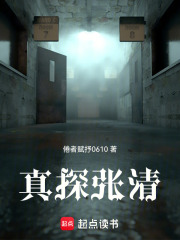 真探张清在线阅读