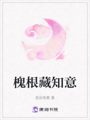 槐根藏知意在线阅读