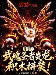 斗罗：武魂圣者炎龙，积木拼装！在线阅读