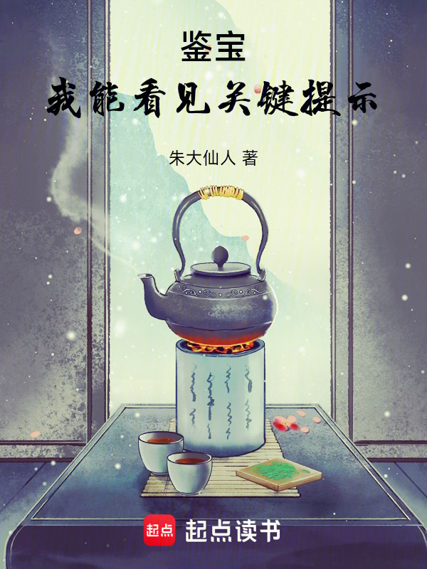 鉴宝：我能看见关键提示在线阅读