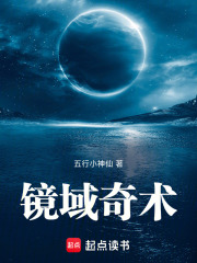 镜域奇术在线阅读