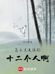 怎么又是你们十二个人啊！在线阅读