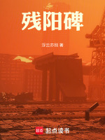 残阳碑封面