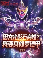 因为光影石离婚？我变身修罗铠甲封面
