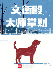 文衡殿：太师掌财在线阅读