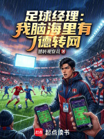 足球经理：我脑海里有德转网在线阅读