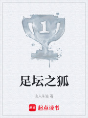 足坛之狐在线阅读
