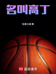 名叫高丁在线阅读
