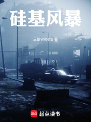 硅基风暴在线阅读