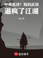 中英直译？我的武功逼疯了江湖封面