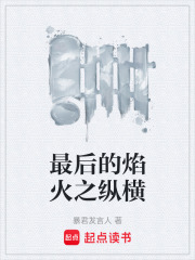 最后的焰火之纵横在线阅读