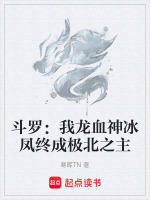 斗罗：我龙血神冰凤终成极北之主最新章节在线阅读