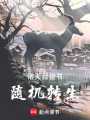 诸天百世书，随机转生在线阅读