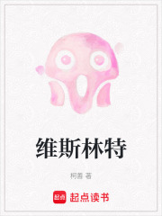 维斯林特在线阅读