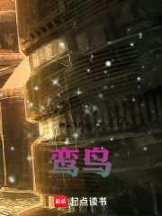 鸾鸟在线阅读